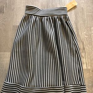 Francesca’ Collection Strip Skirt